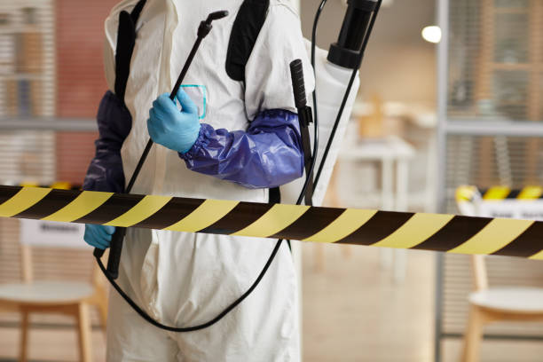 Professional Sewage Cleanup technician working in Austin, MN